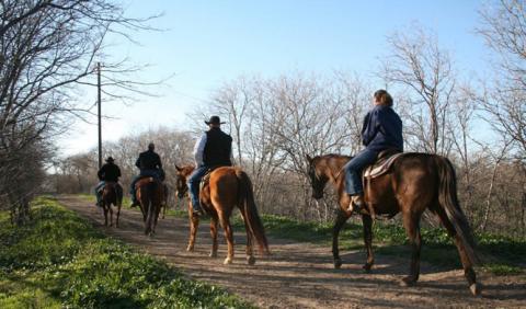 Ft. Worth Stockyard Stables  Horseback Riding Forth Worth, Texas