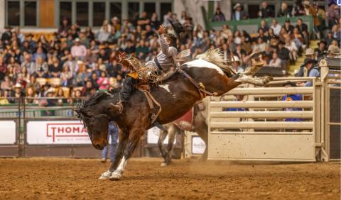 Stockyards Championship Rodeo